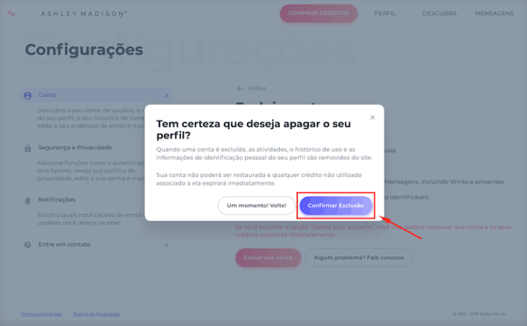 Como excluir a conta Ashley Madison em 4 passos rápidos passo 4